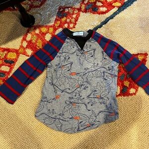 Hannah Andersson dragon shirt